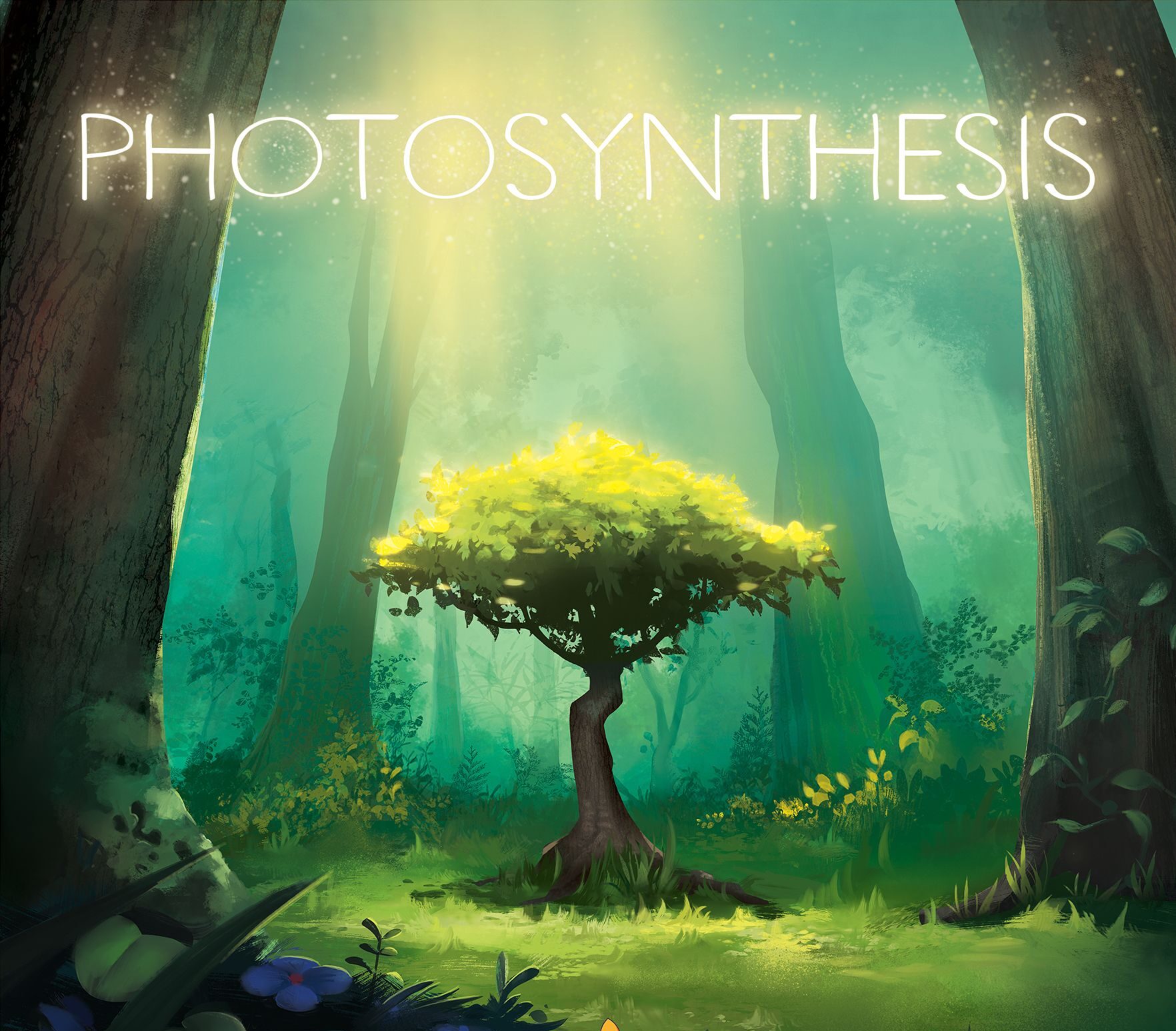 Read more about the article Photosynthesis